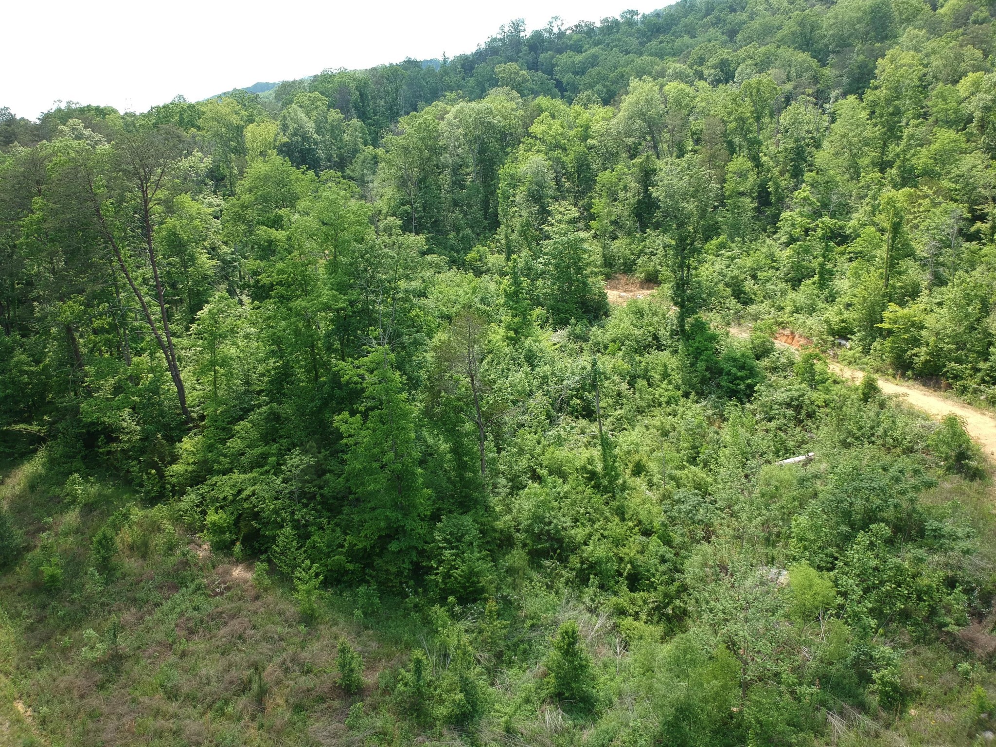 2352 Byrds Chapel Road Rising Fawn GA 30738
