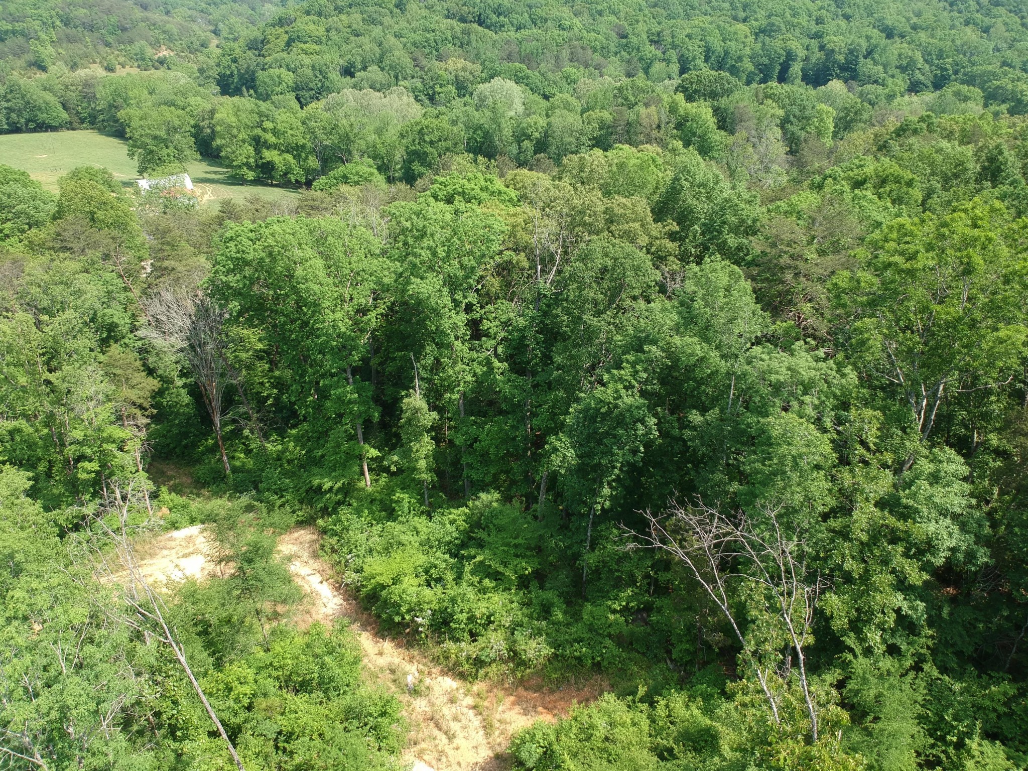 2352 Byrds Chapel Road Rising Fawn GA 30738