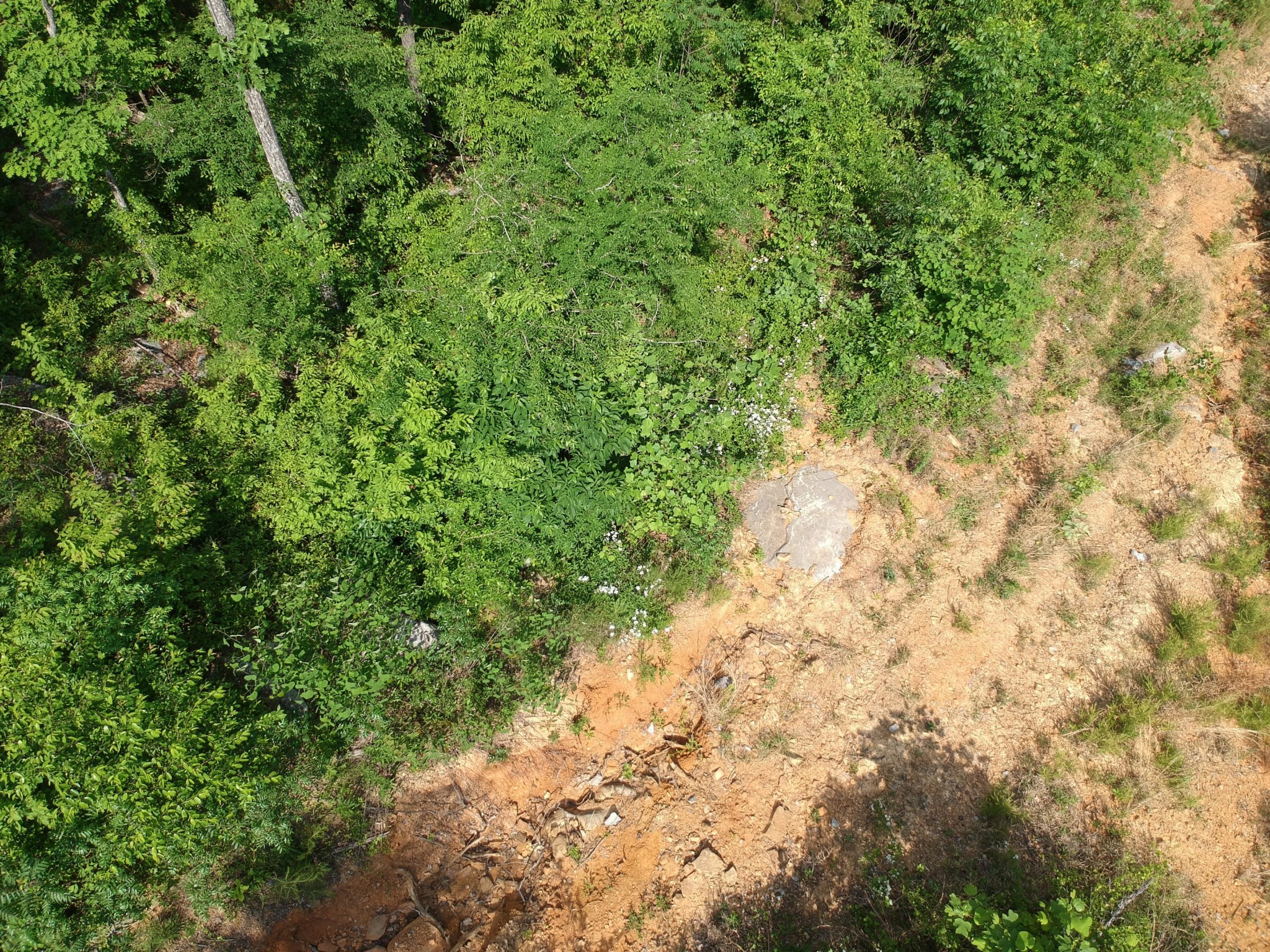 2352 Byrds Chapel Road Rising Fawn GA 30738
