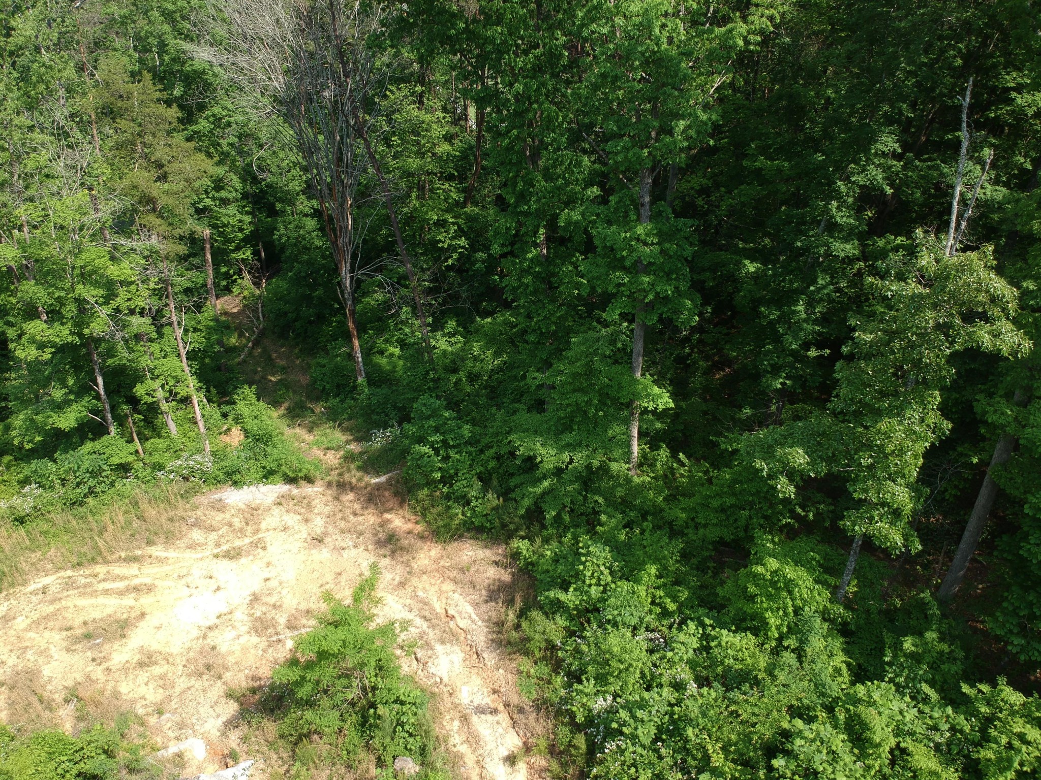 2352 Byrds Chapel Road Rising Fawn GA 30738