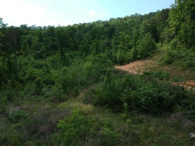 2352 Byrds Chapel Road Rising Fawn GA 30738