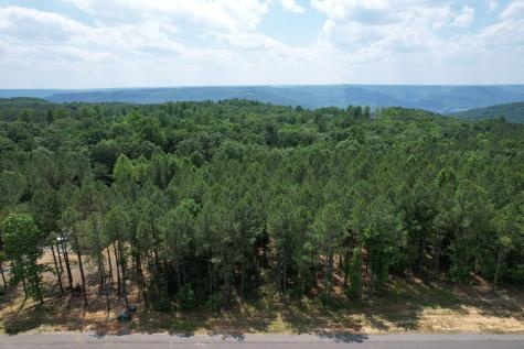 2700 Crockett Pointe Jasper TN 37347