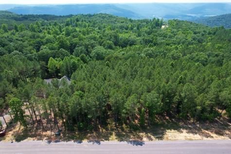 2700 Crockett Pointe Jasper TN 37347