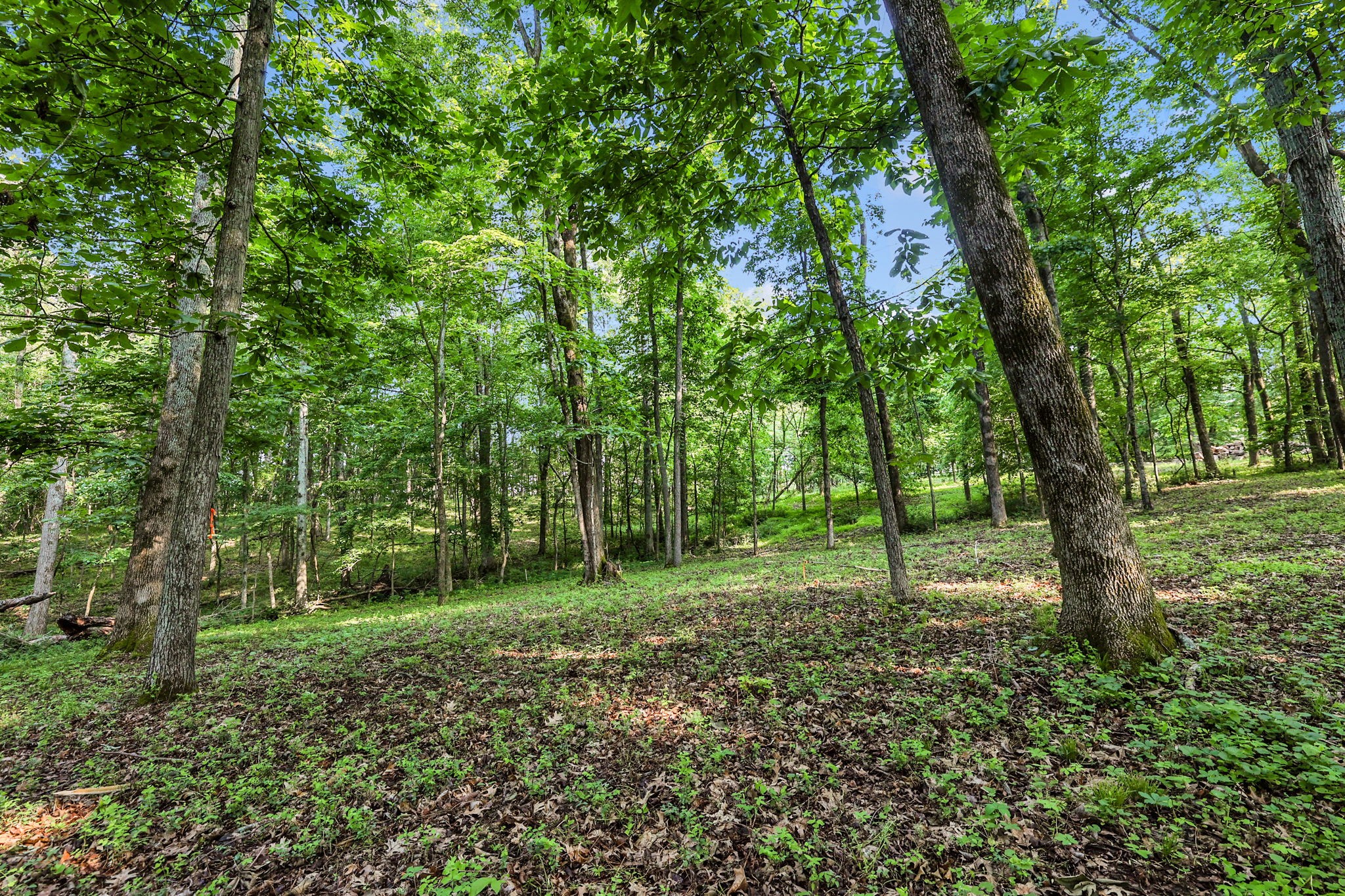 3119 Chase Point Drive Franklin TN 37067