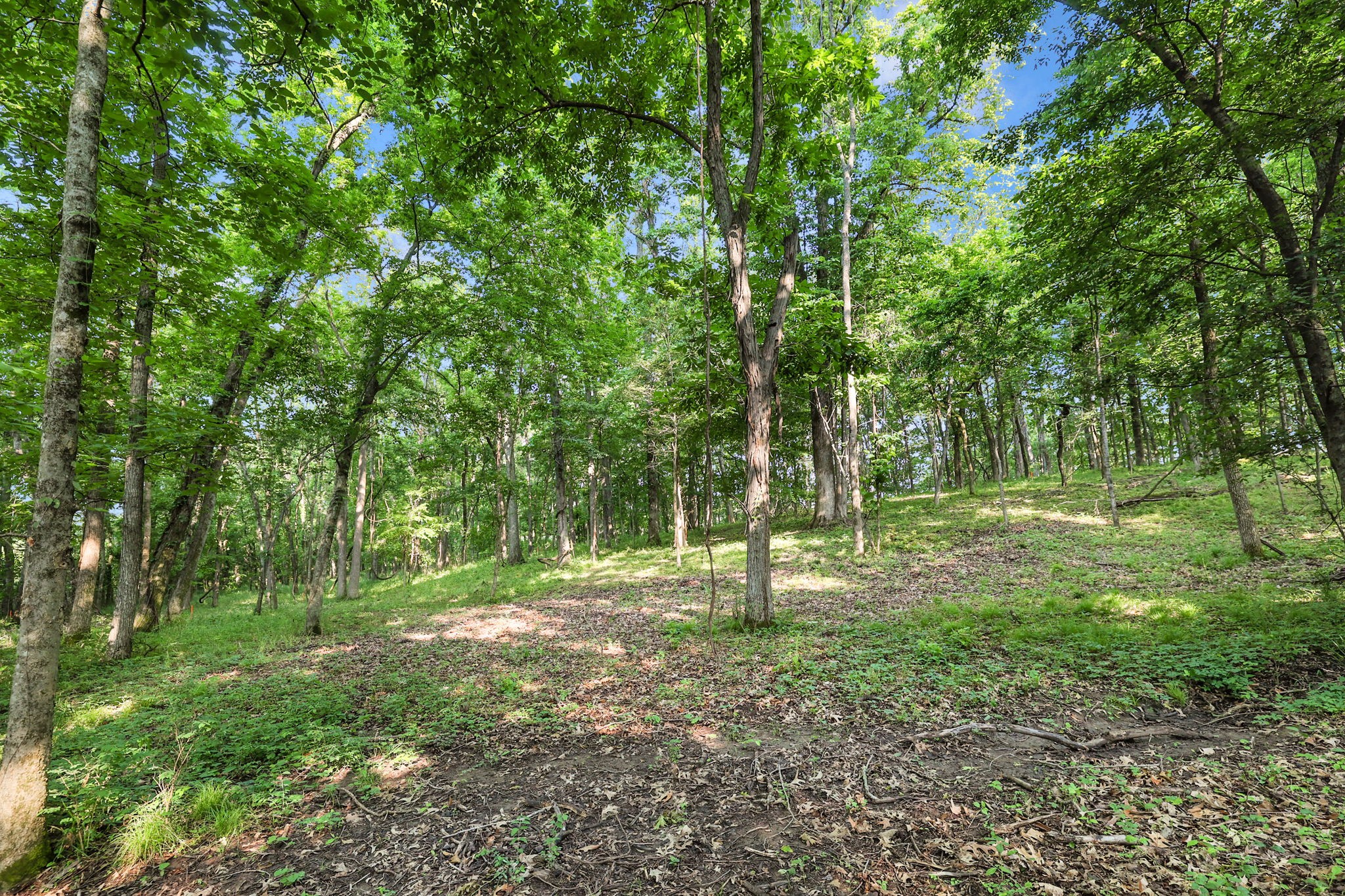 3119 Chase Point Drive Franklin TN 37067