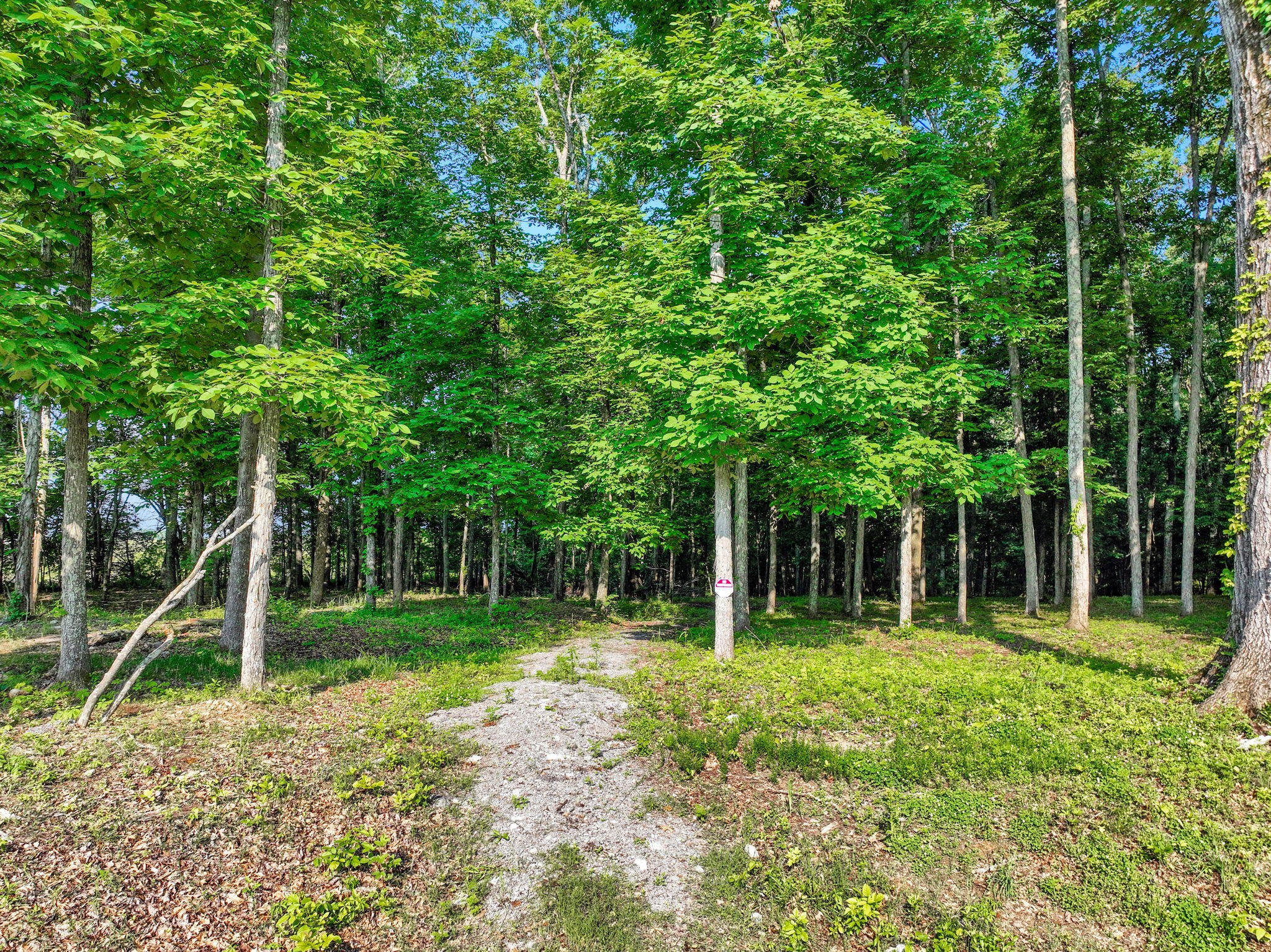 3119 Chase Point Drive Franklin TN 37067