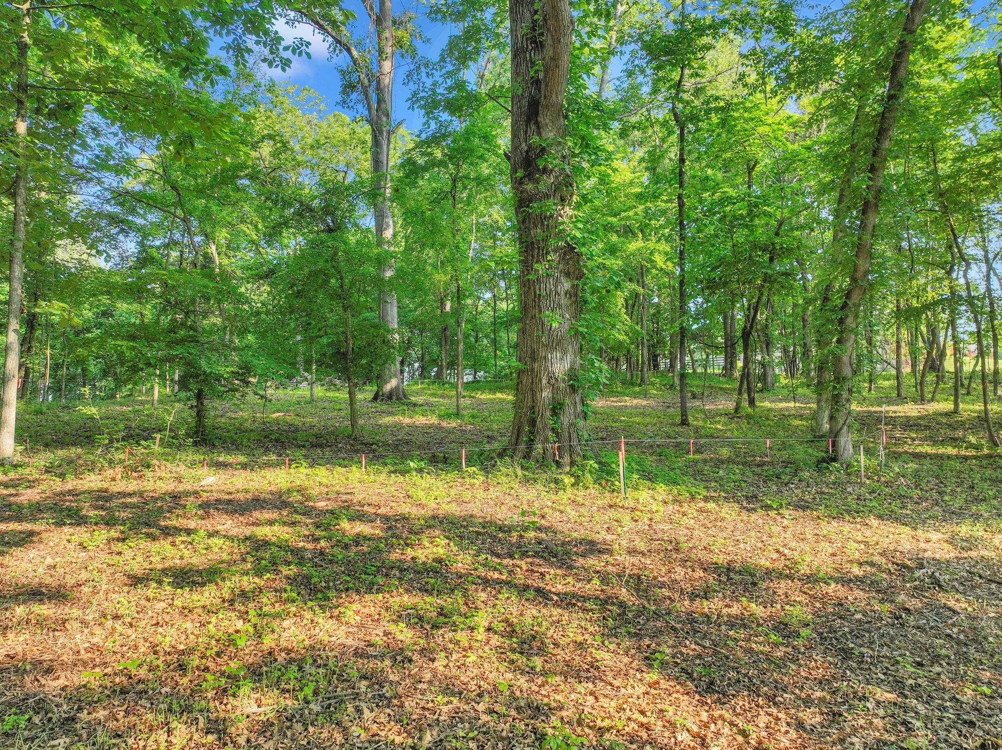 3119 Chase Point Drive Franklin TN 37067