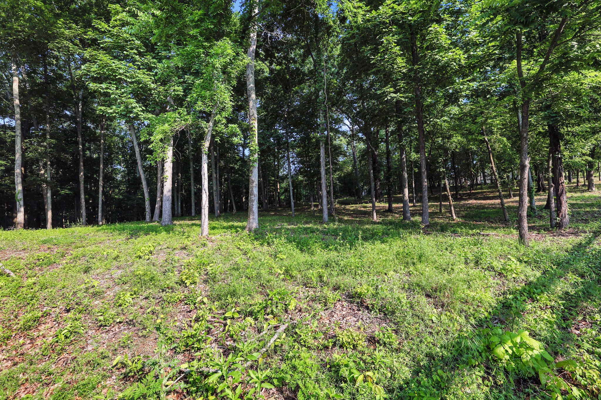 3119 Chase Point Drive Franklin TN 37067