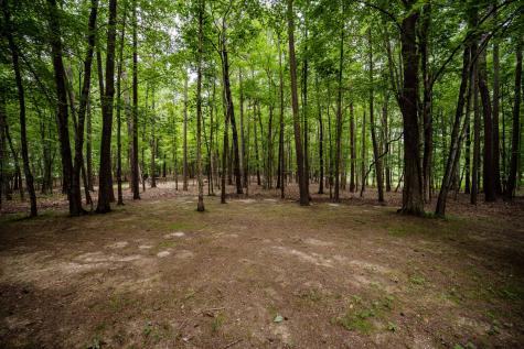 3659 Pea Ridge Road Liberty TN 37095