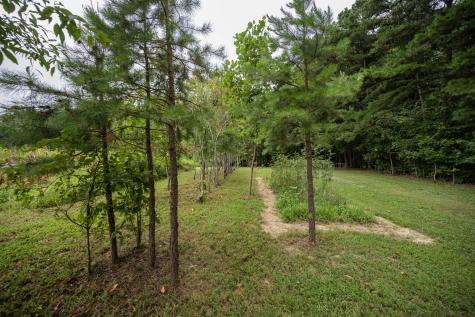 3659 Pea Ridge Road Liberty TN 37095