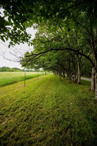 3659 Pea Ridge Road Liberty TN 37095