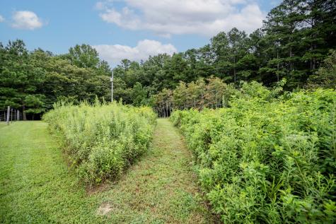 3659 Pea Ridge Road Liberty TN 37095