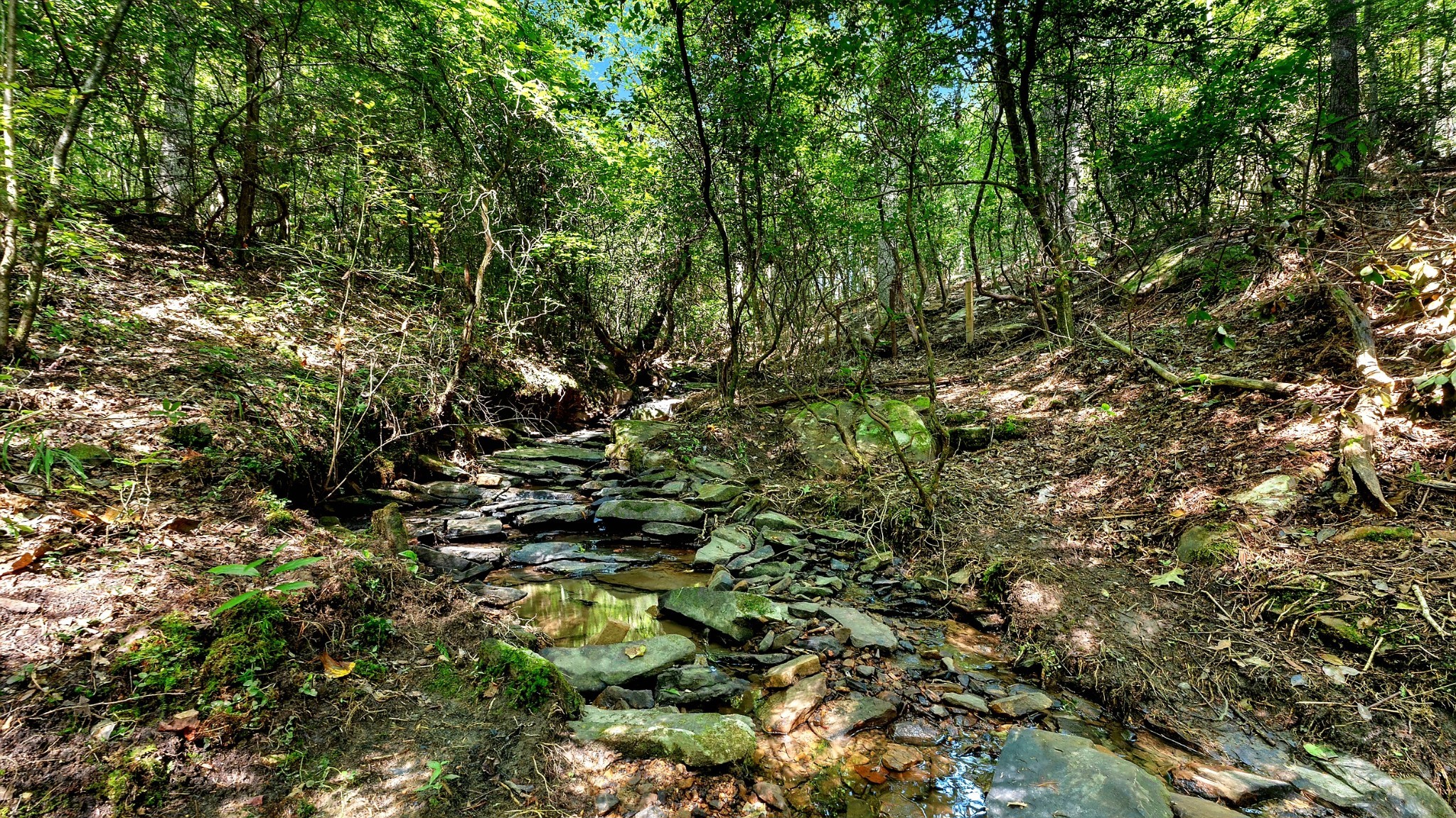 67 Winding Creek Way Altamont TN 37301