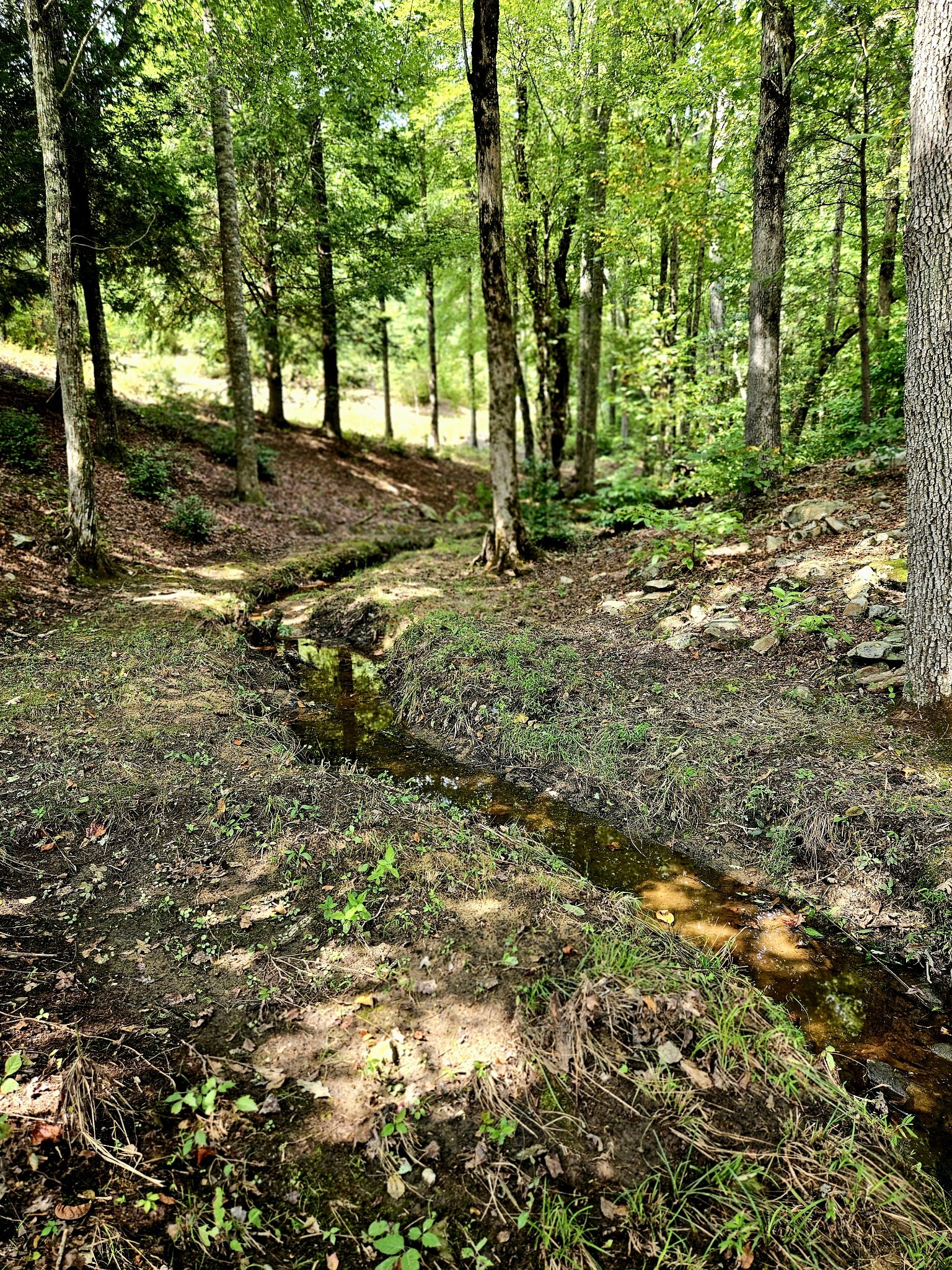 67 Winding Creek Way Altamont TN 37301