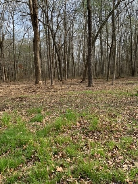 1 Ledford Mill Road Tullahoma TN 37388