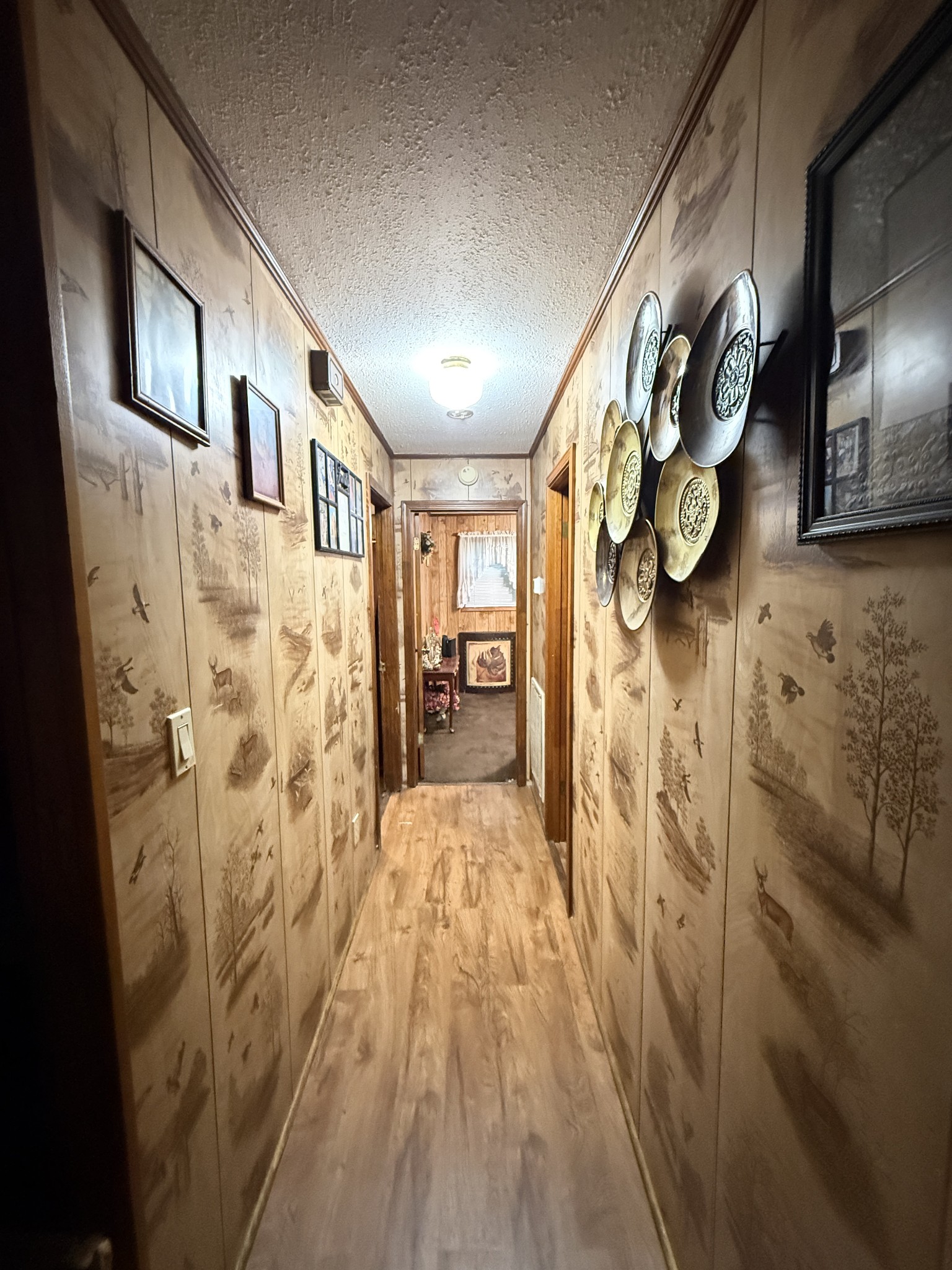12 Elora Church Road Elora TN 37328