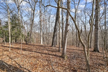 30 Devon Loop Crossville TN 38558