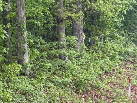 0 Crossville Highway Sparta TN 38583