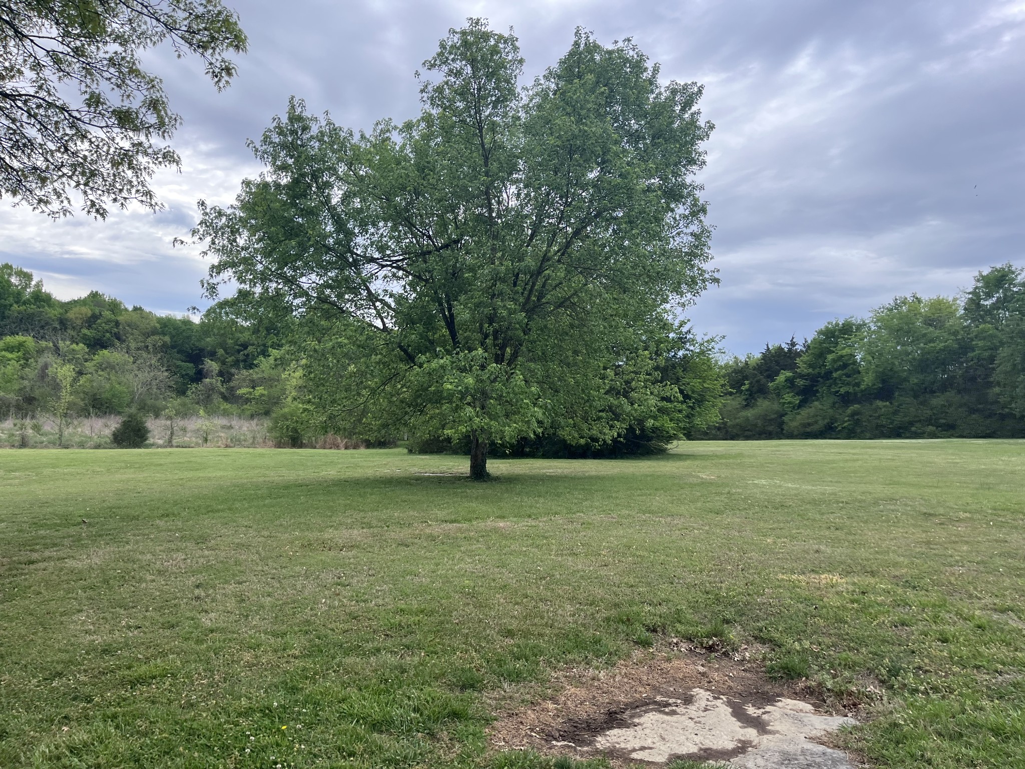 826 Old Rome Pike Lebanon TN 37087