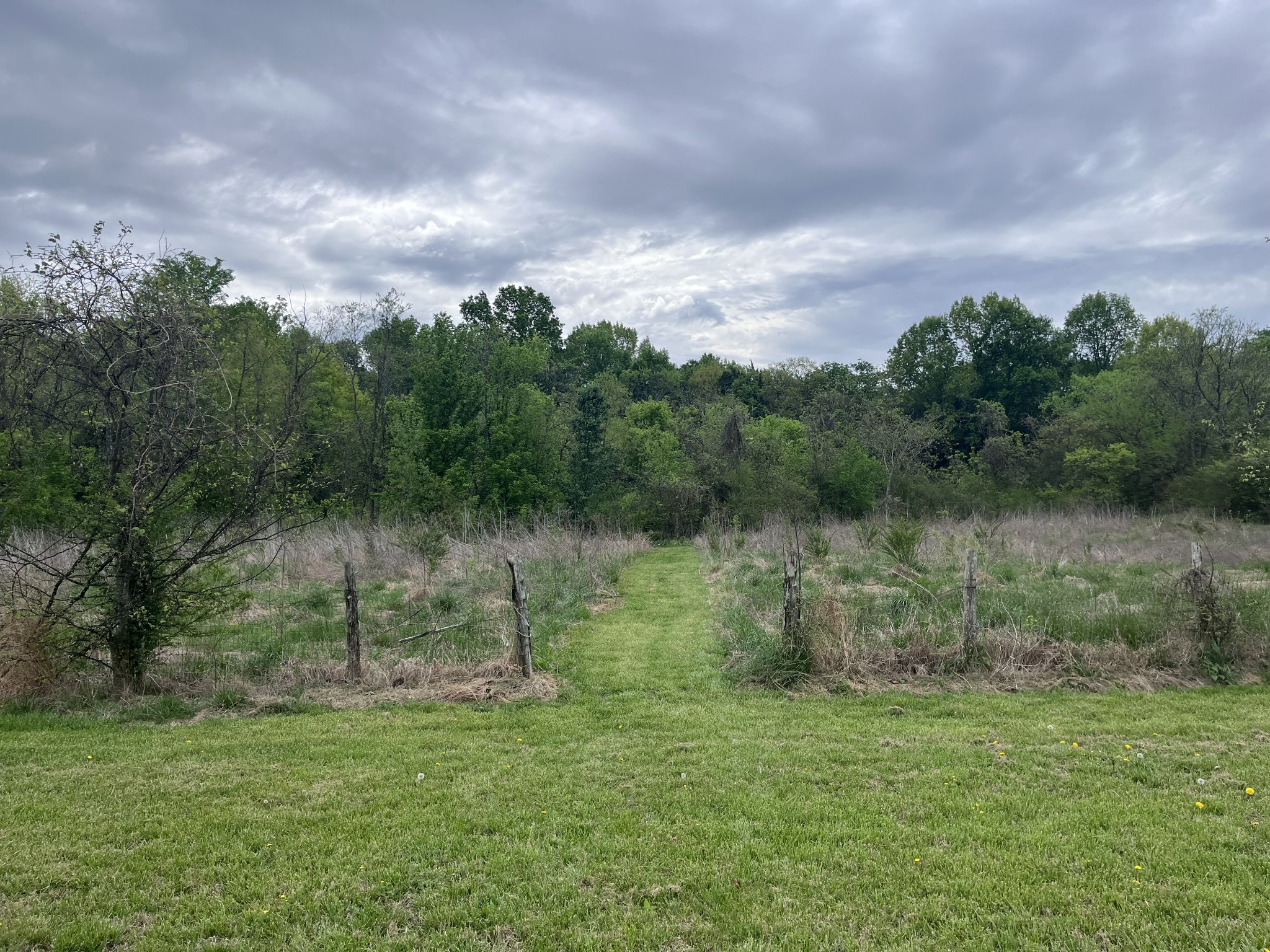 826 Old Rome Pike Lebanon TN 37087