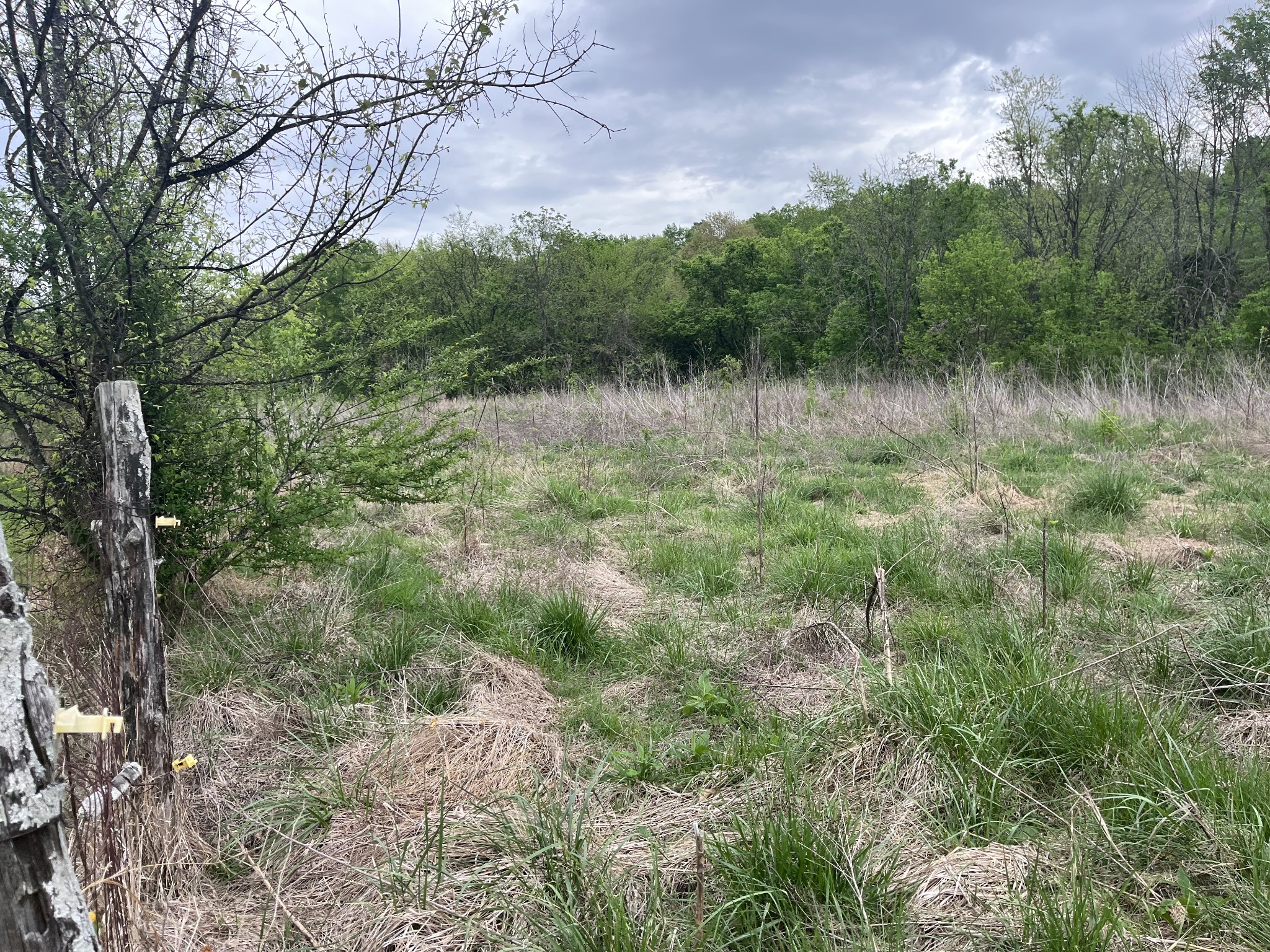 826 Old Rome Pike Lebanon TN 37087