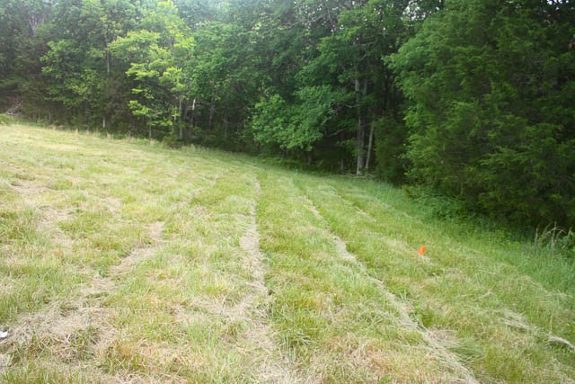 4793 Joe Peay Road Spring Hill TN 37174
