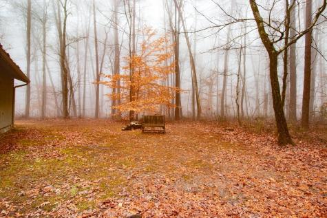 632 Dogwood Drive Monteagle TN 37356