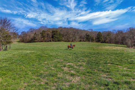 9142 Horton Highway College Grove TN 37046
