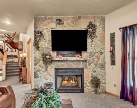 115 Mostly Locust Drive Buchanan TN 38222