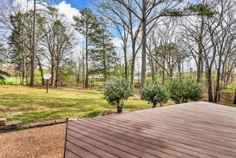 115 Mostly Locust Drive Buchanan TN 38222