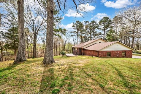 115 Mostly Locust Drive Buchanan TN 38222