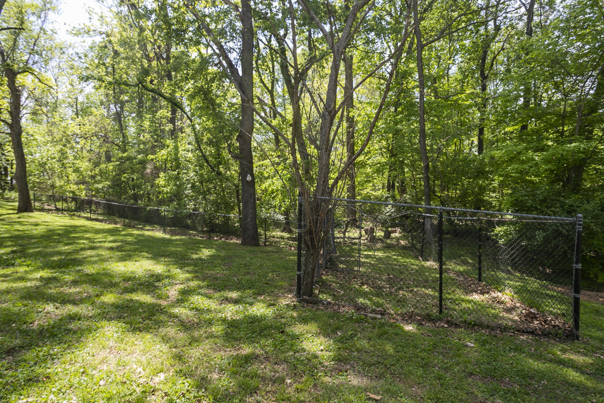 607 Harris Drive Pleasant View TN 37146