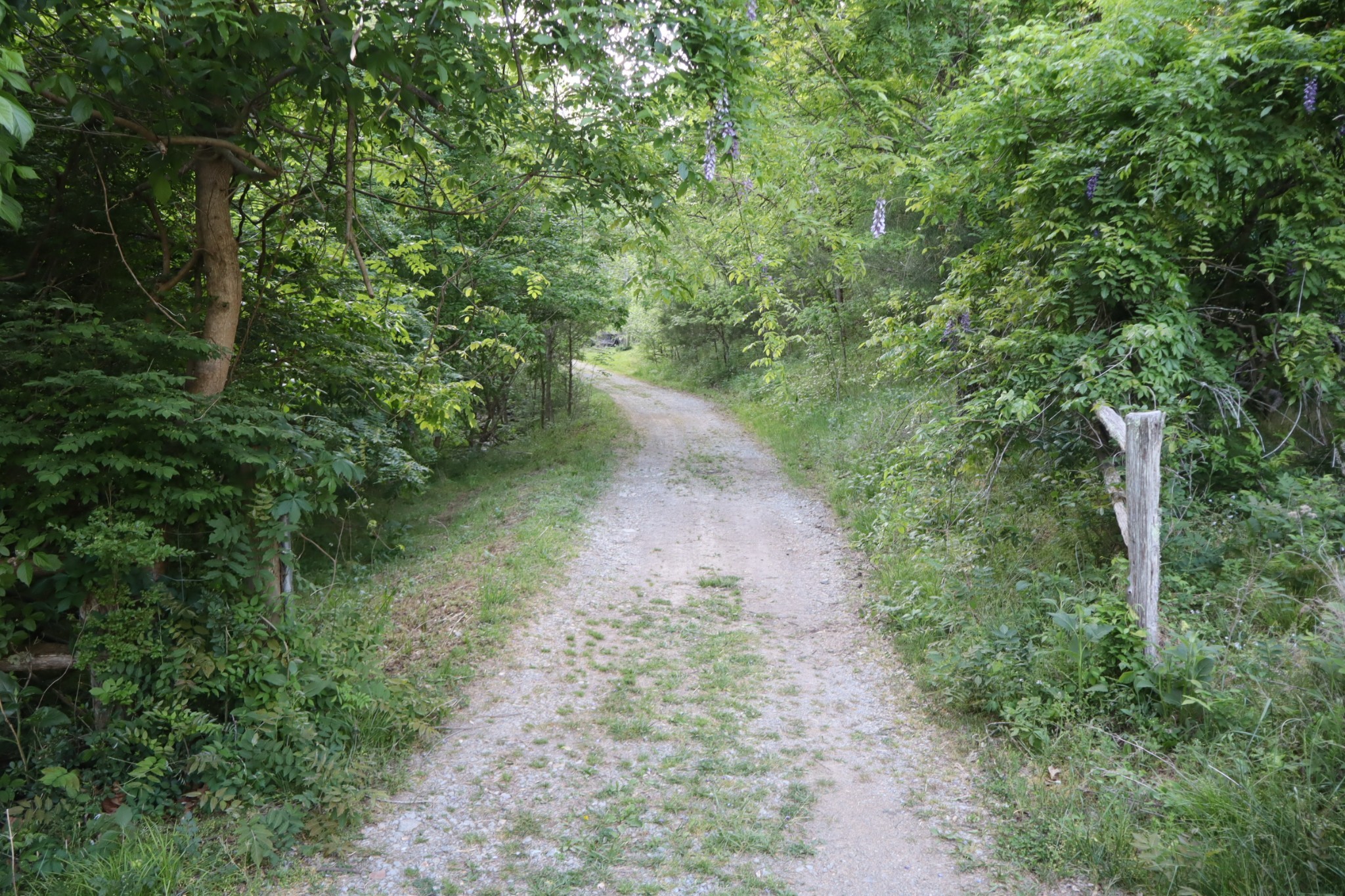 341 Pumpkin Hollow Road Liberty TN 37095