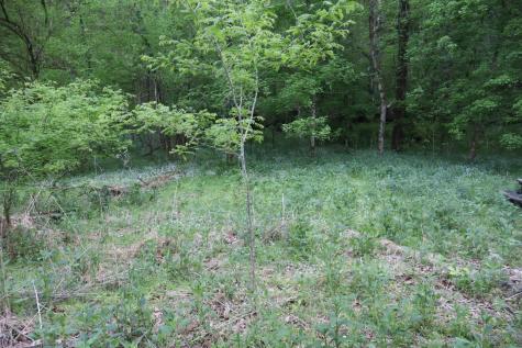 341 Pumpkin Hollow Road Liberty TN 37095