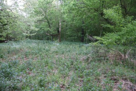 341 Pumpkin Hollow Road Liberty TN 37095