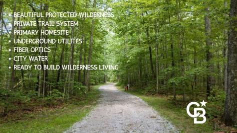 0 Woodfern Lane Coalmont TN 37313