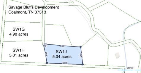 0 Woodfern Lane Coalmont TN 37313