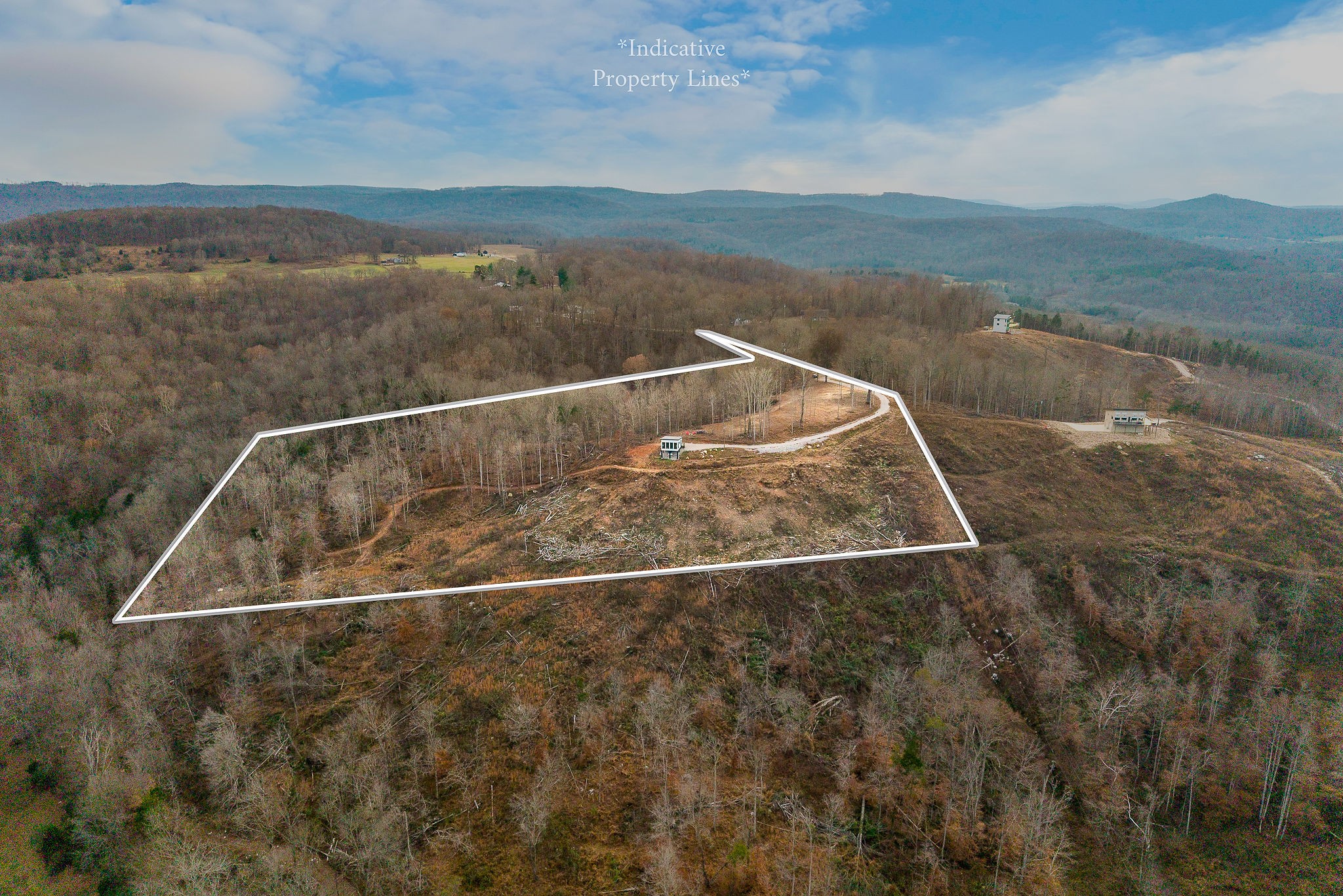 431 Bald Knob Cummings Cove Roads Doyle TN 38559