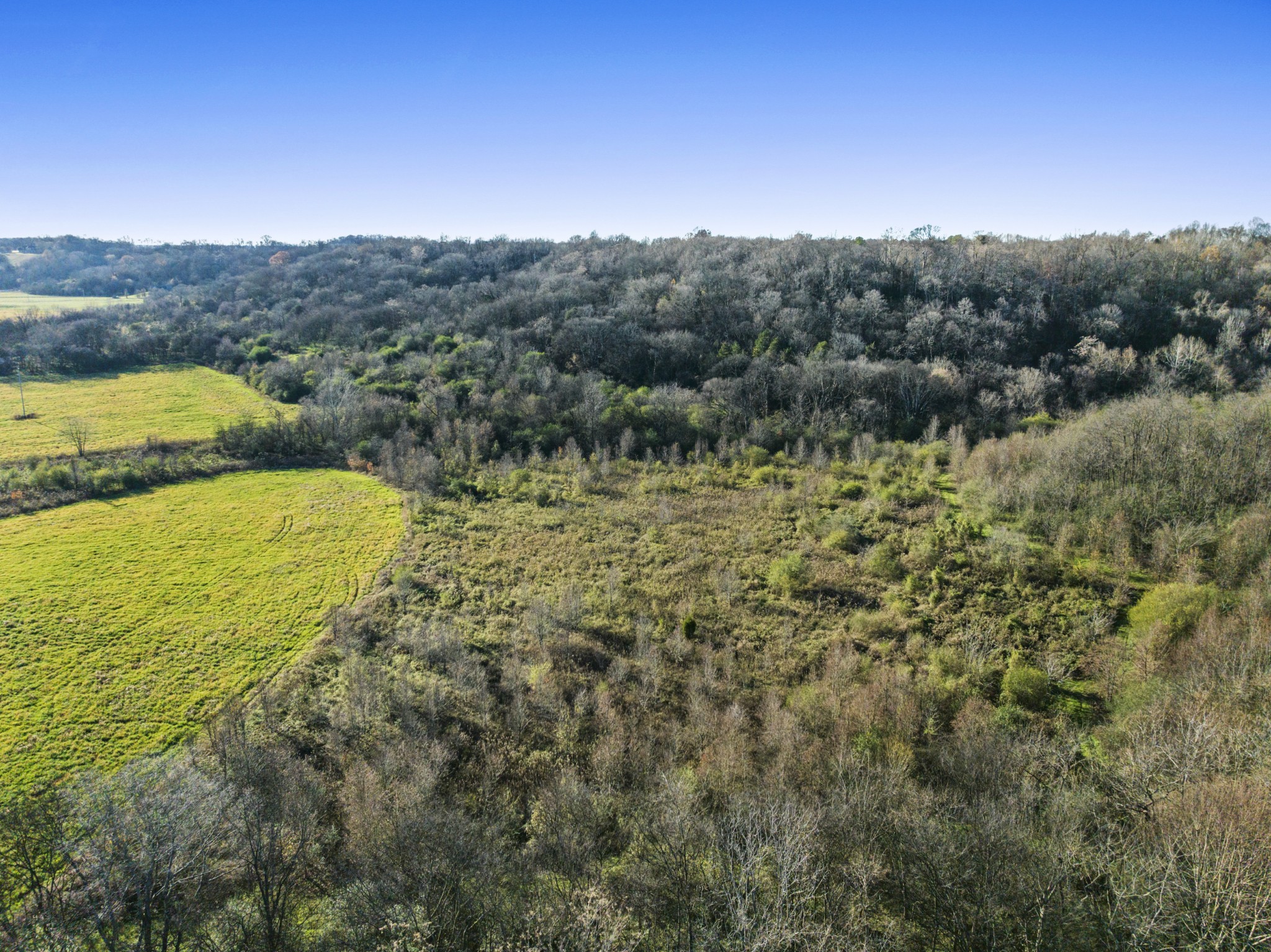 1 Hicks Lane Columbia TN 38401