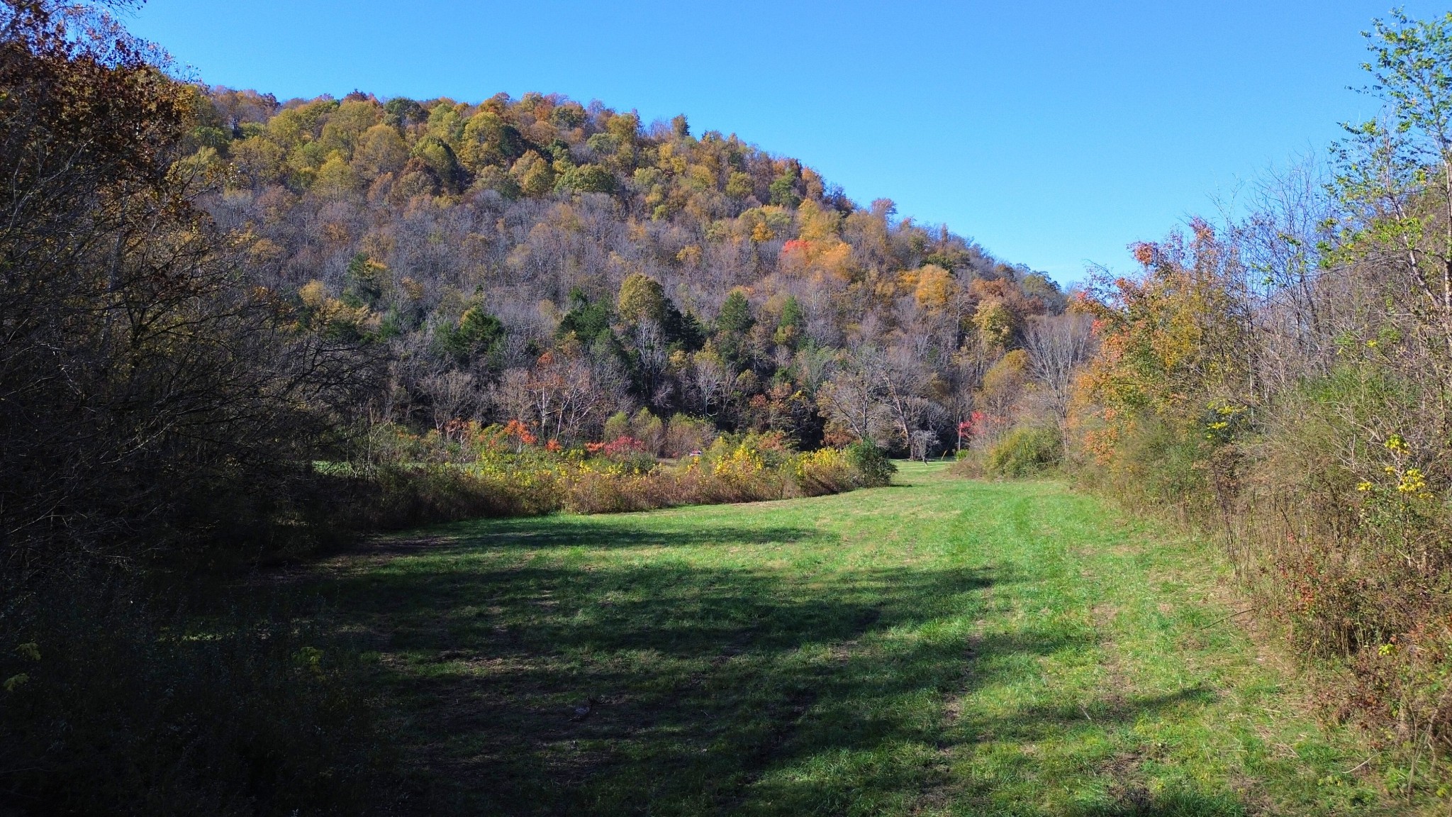 0 Hollis Creek Road S Woodbury TN 37190