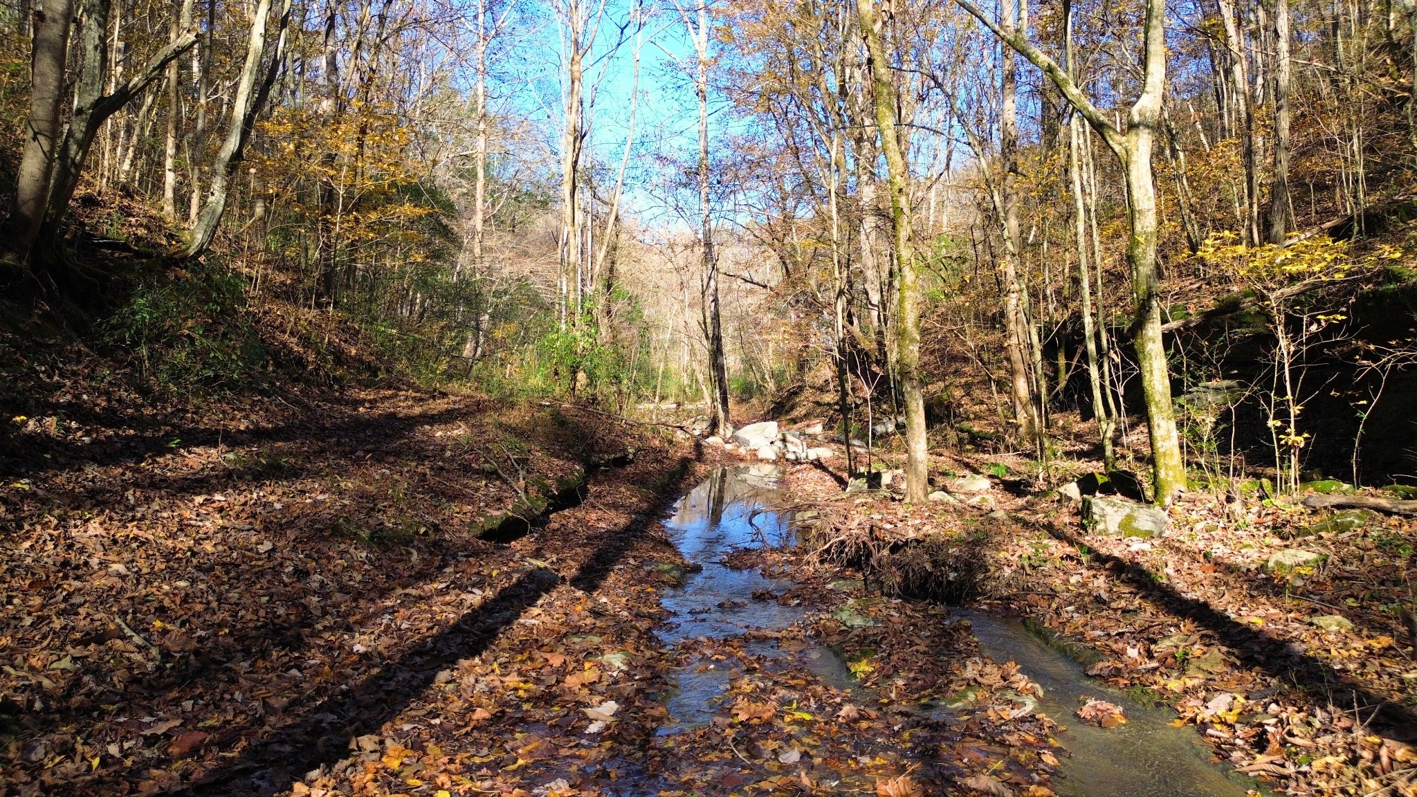 0 Hollis Creek Road S Woodbury TN 37190