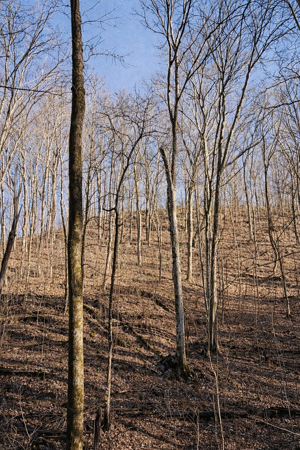 0 Hollis Creek Road S Woodbury TN 37190