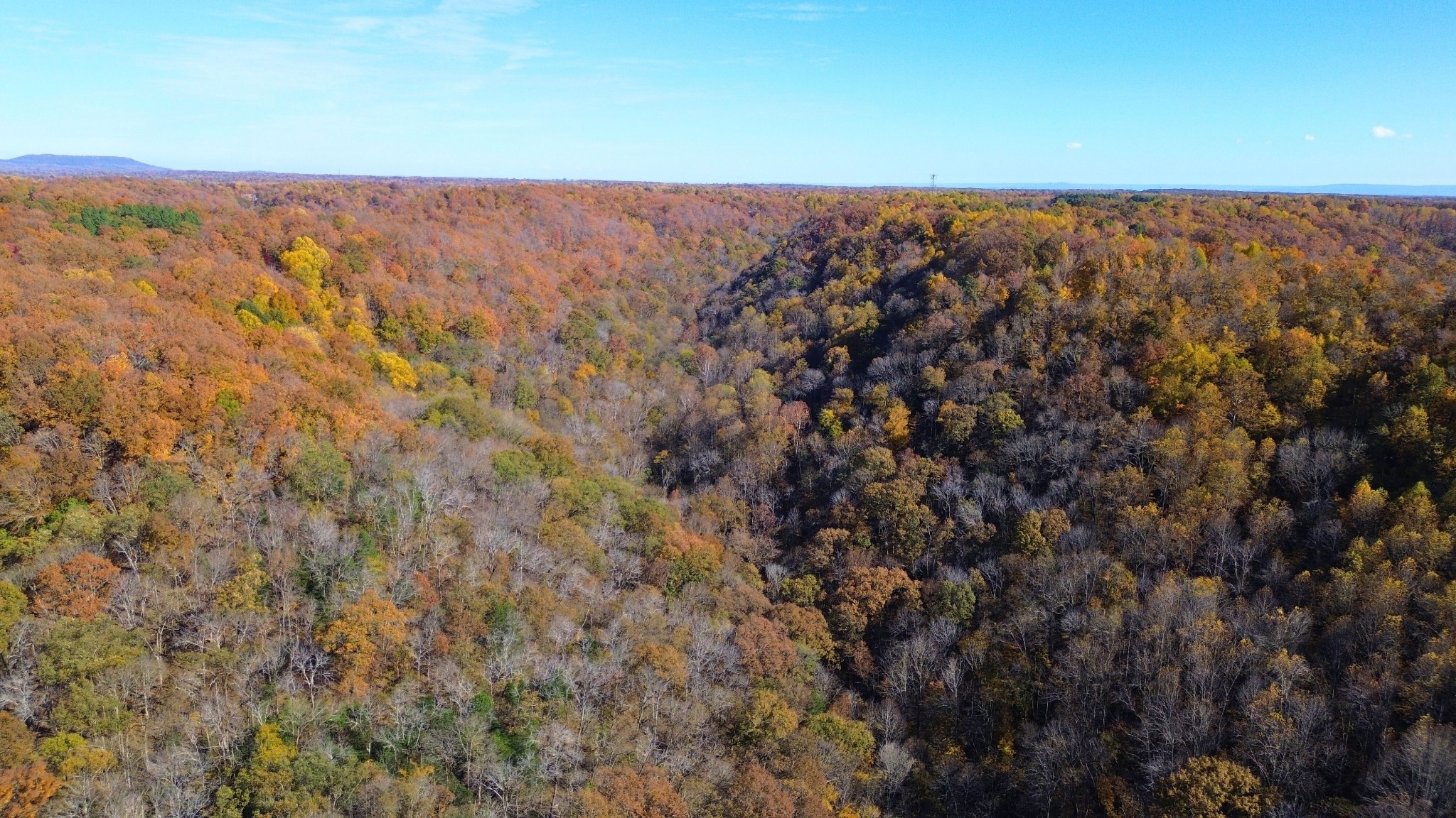 0 Hollis Creek Road S Woodbury TN 37190