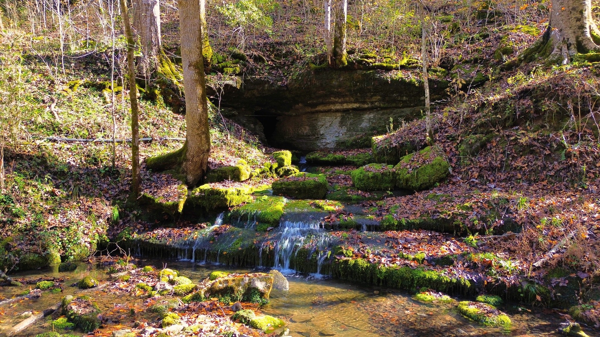 0 Hollis Creek Road S Woodbury TN 37190