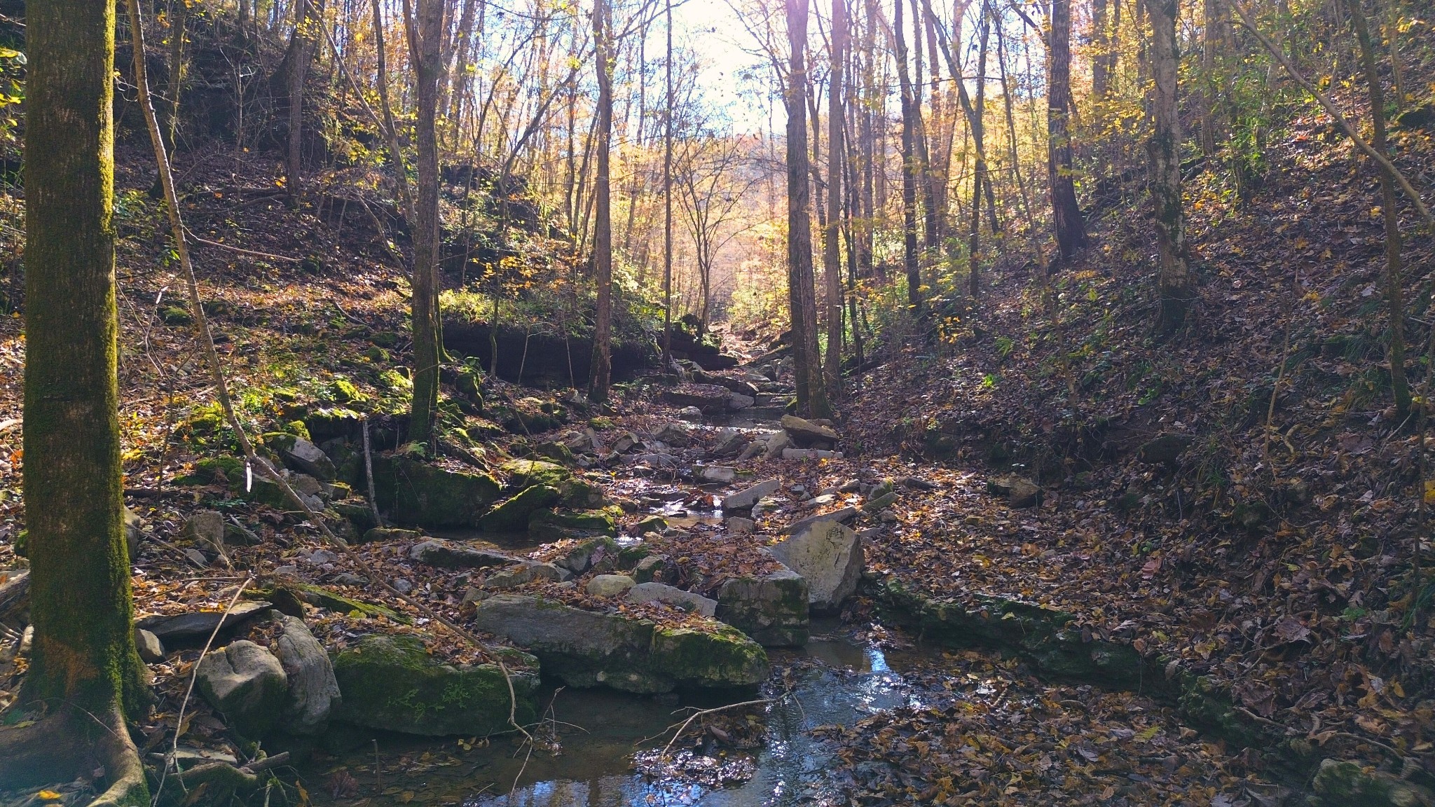 0 Hollis Creek Road S Woodbury TN 37190