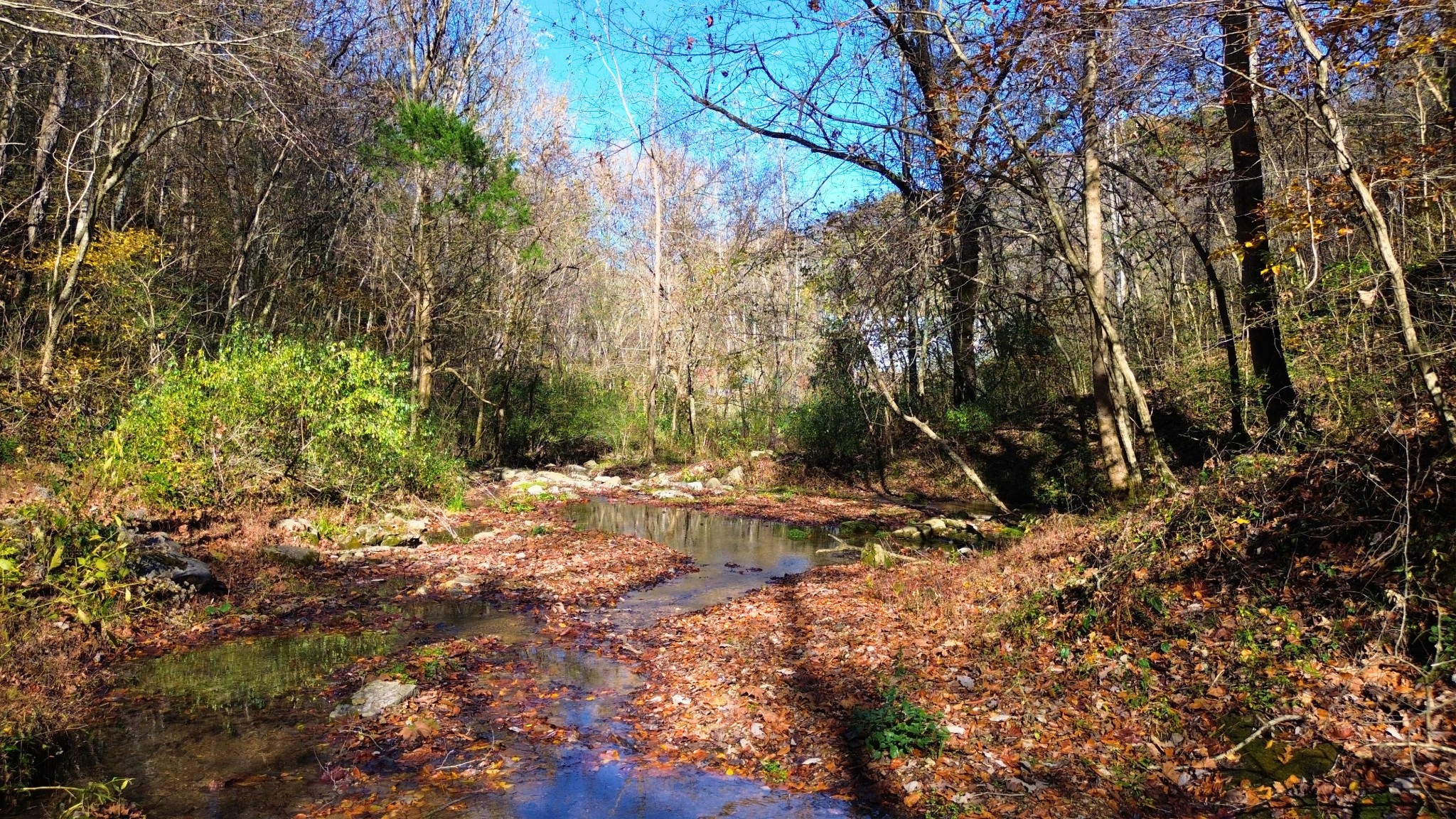 0 Hollis Creek Road S Woodbury TN 37190