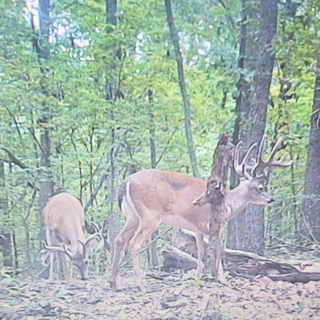 0 Hollis Creek Road S Woodbury TN 37190
