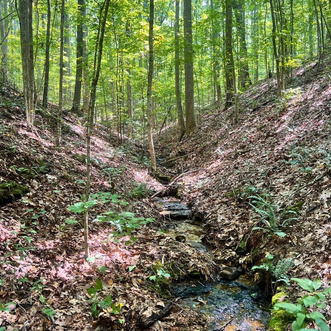 0 Hollis Creek Road S Woodbury TN 37190