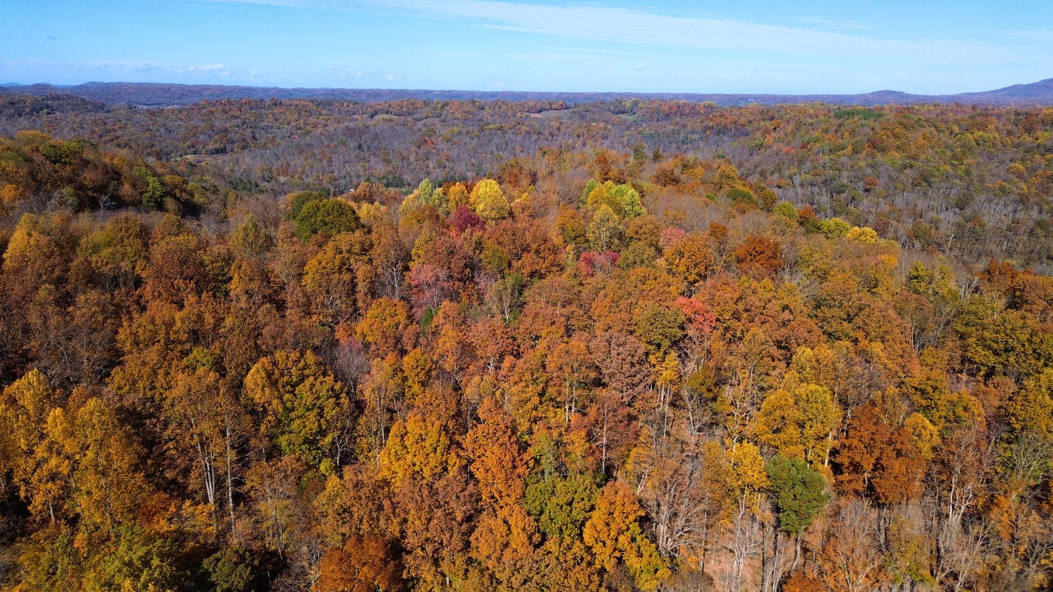 0 Hollis Creek Road S Woodbury TN 37190