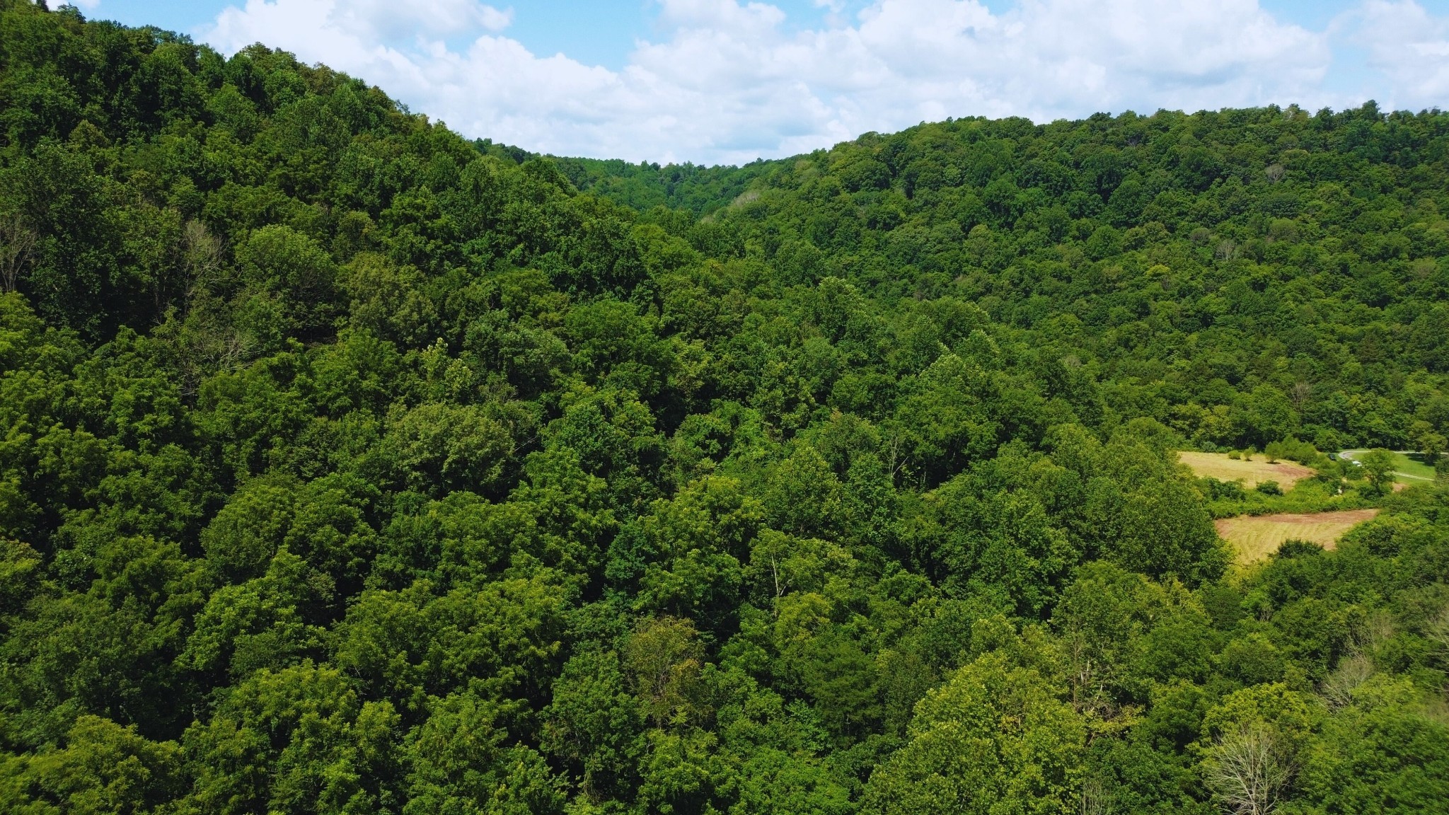 0 Hollis Creek Road S Woodbury TN 37190